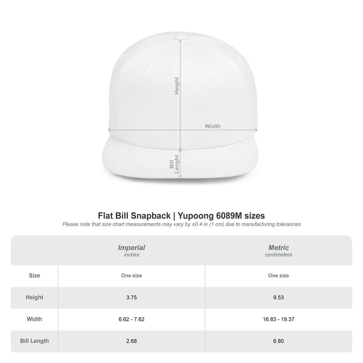 DJ Pulse Flat Bill Snapback Beatwave Cap